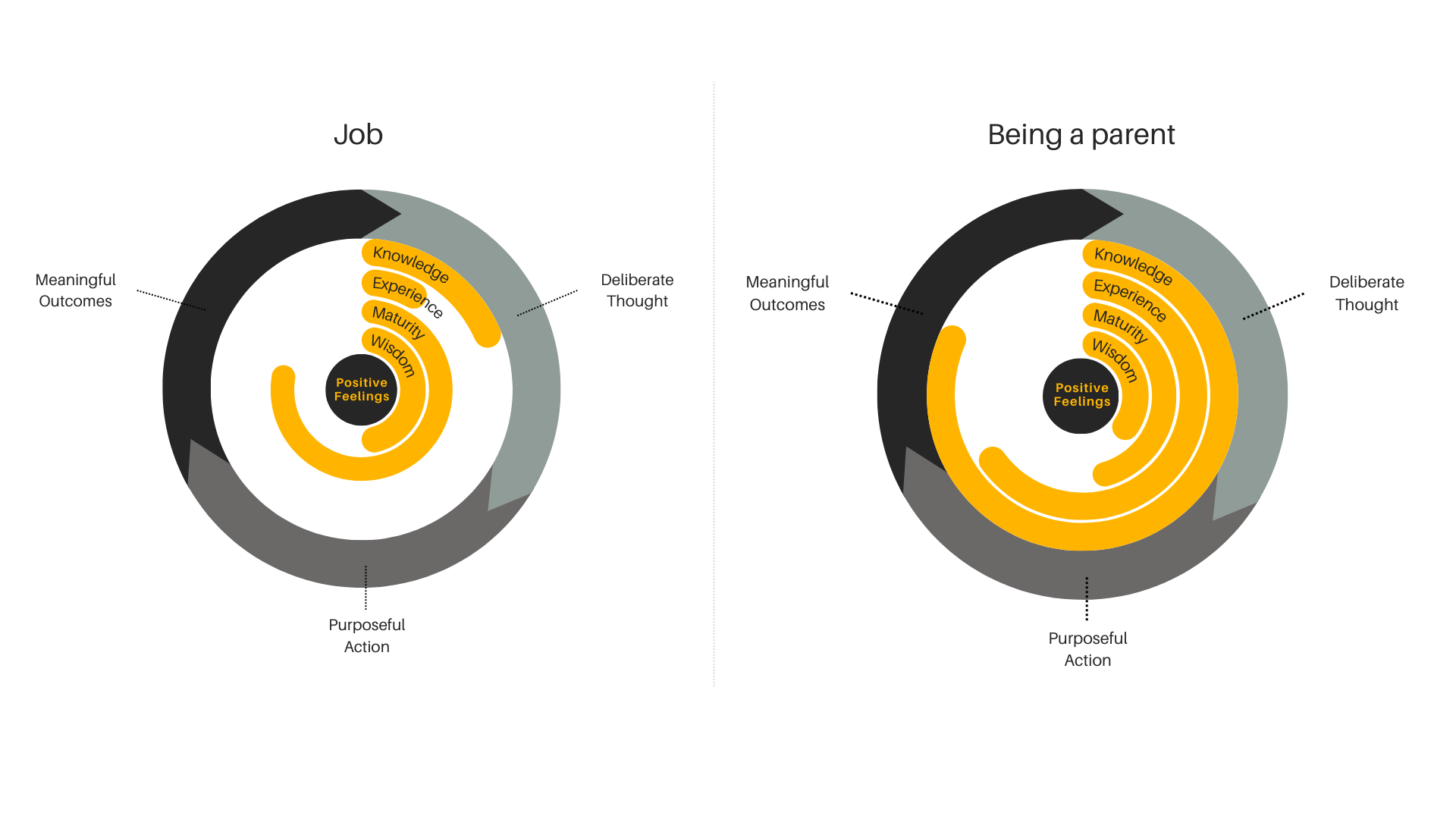 Actfullness framework - multiple areas of self-mastery